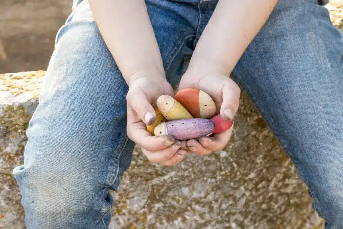 In de hand van een kind Houten Regenboog Insecten – Lieveheersbeestjes, Mieren en Naaktslakken