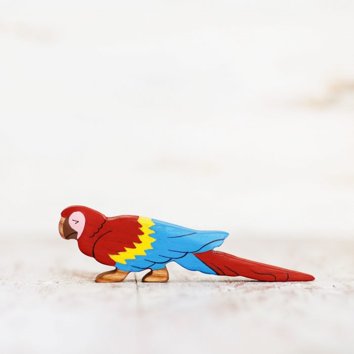 Wooden Caterpillar Vogels - Papegaai