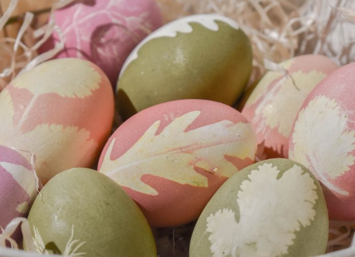 Natuurlijke eierverf, 5 kleuren