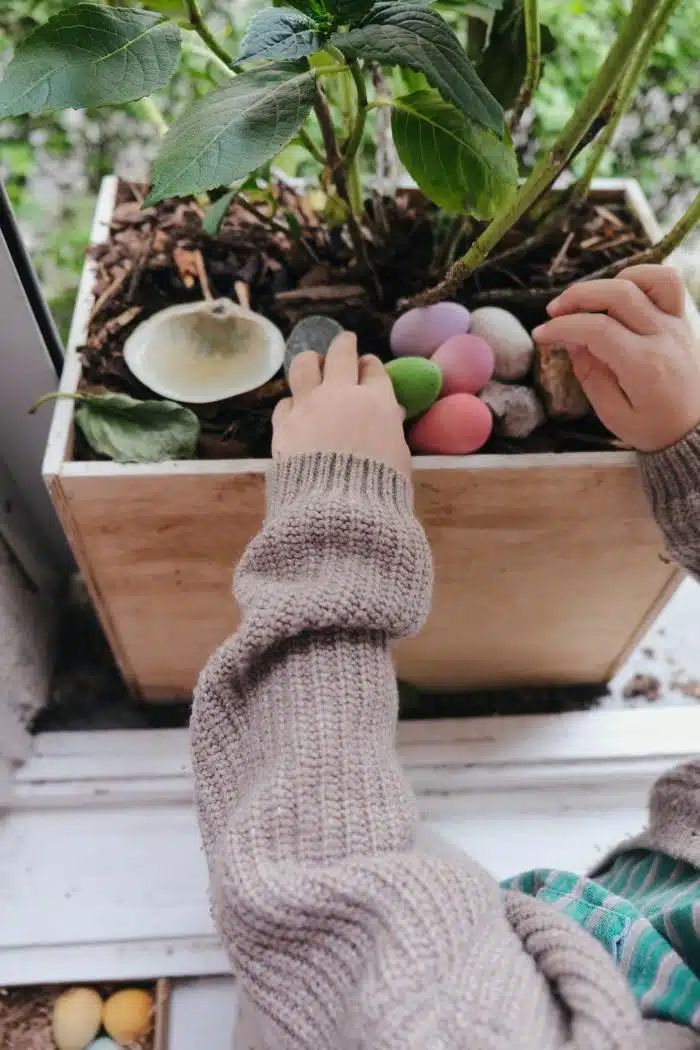 Grapat Happy Eggs in een plantenbak