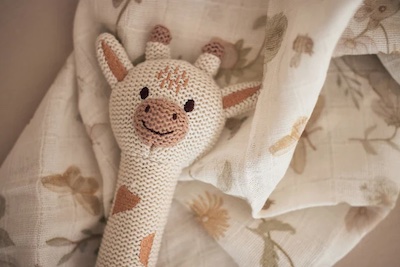 Giraffe Rammelaar