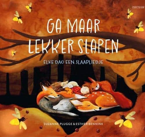 ga maar lekker slapen