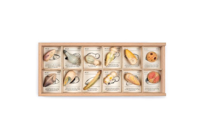Grapat Houten Speelfiguren Set Wild - 12st