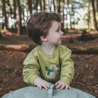 Geese | Oversized Sweater | Spinach Green