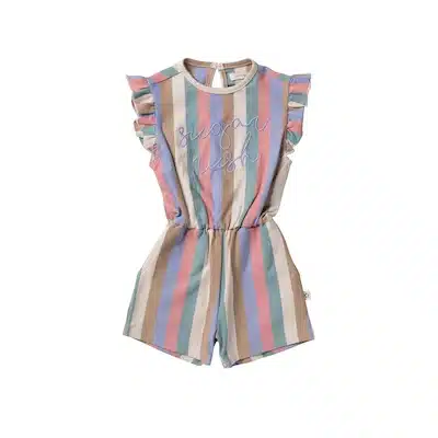 Your Wishes Multi Stripes Ruffle Playsuit