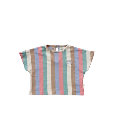 your wishes multi stripes cropped tee